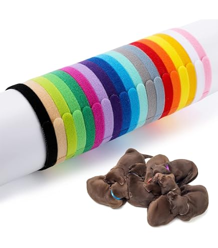 16 Welpen-ID-Halsbänder Set – Verstellbare, Bunte Halsbänder Für Welpen & Kätzchen | Weich, S-Größe (4–6,5 Cm)
