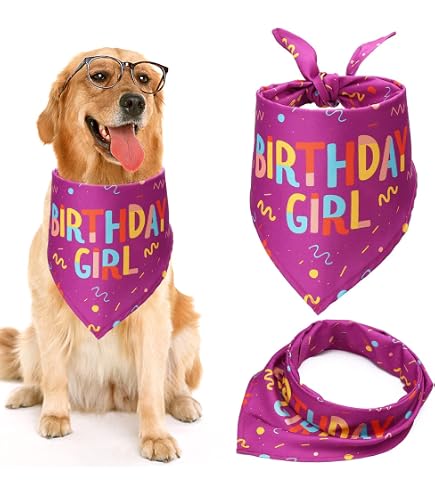 Hunde-Geburtstagstuch – Kariertes Bandana Für Den 1. Geburtstag, Rosa, Ca. 66 X 31 Cm, Aus Baumwolle