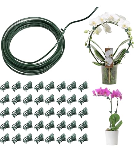 Lot De 12 Piquets D'arrosage Automatique En Argile – Pour Plantes D' Intérieur/extérieur – Irrigation Vacances Pratique, En Terre Cuite Naturelle | Leroy Merlin