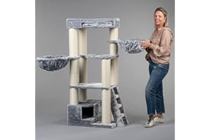 RHRQUALITY Arbre a Chat XXL geant Corner Coon Gris Clair Maine Coon griffoir Arbres pour Grand Gros Chats Solide à Grande Taille Original Design Moderne de Luxe Adulte