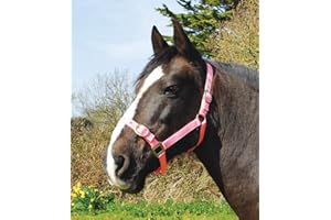 Rhinegold Nylon Headcollar - Shetland - Pink