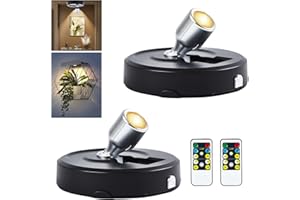 RAHAN Batteriebetriebene Bilderlichter, 2 Stück LED-Scheinwerfer, Deckenstrahler mit Fernbedienung, Wandleuchte Batteriebetrieben für Wandanzeige Bild Malerei Kunstwerk Akzent Dartboard