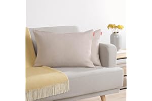 Blumtal Juego de 2 Funda para Cojín de Chenilla - Fundas Decorativas de cojín para sofá con Cremallera Cubierta, Taupe, 40 x 60 cm