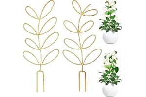 ORIGREEN 2 Stück Metall Rankhilfe für Zimmerpflanzen, Blattförmiges Rankgitter, Metalldrahtpfahl für Kletterpflanzen, Zimmerpflanzen-Dekoration, Mini-Pflanzen-Rankhilfe für Monstera Hoya Garten(Gold, DE)