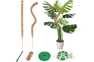 CNMTCCO 2 Stück 60 cm Moosstab Monstera für Pflanzen,Rankhilfe aus Kokosfaser,Rankhilfe für Kletterpflanzen mit Zubehör,Anzuchtpfosten für Kletterpflanzen Monstera für Indoor Pflanzen