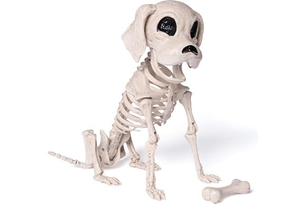 JOYIN Poserbar Halloween hund skelett helkropp möjligt leder skelett valp för halloween dekoration, kyrkogårdsfest deco