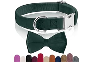 KTWSUEF Collare Cane, papillon cane Collare per Cani Velluto, Collare per Cani Comodo Resistente, Papillon per Cani Rimovibile Regolabile, Per Matrimoni, Compleanni, Eventi Festivi
