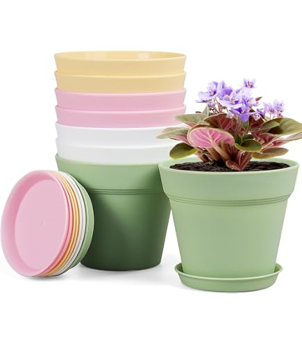 leonardo pflanztopf serra Leonardo Serra Pflanztopf L, 4er Set, Blumentopf, Blumen Topf, Pflanze –  Ambiente3000