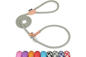 Grand Line Retrieverleine mit Zugstopp, 150 cm Moxonleine Reflektierende Hundeleine, Sicher Dauerhafte Trainingsleine Moxonleine für Kleine Mittlere und Große Hunde - 10mm, Grau-Grün