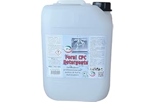 PIP PRODOTTI INNOVATIVI PROFESSIONALI PIP Detergente Forno Autopulente Forni CPC, Alcalino, Prodotto Puliforno Sgrassante, Disincrostante, Professionale, Industriale, Biodegradabile, Tanica Un LT. 10 - Kg. 11,1 Pronto all'uso