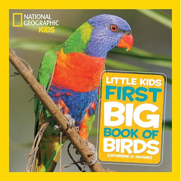 Little Kids First Big Book of Science (National Geographic Kids