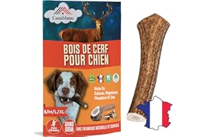 CASABLANE Bois de cerf pour Chien de 5 à 10 kg, Entier Taille S, 40 à 74 g, friandise Naturelle à mâcher, Jouet à Mordre, Os Long Ideal Chiens mordants, destructeurs, écologique, Soin dentaire & Plaisir naturel