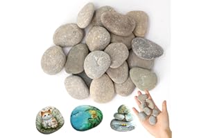 XIMKONTER 20 Stück Kieselsteine zum Bemalen Flach, Steine zum Bemalen, Strand Kiesel, Flach Steine Groß zum Bemalen, Groß Steine zum Bemalen, Kies Dekosteine Naturstein, für Bunte Malerei & Dekoration