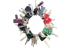 CARNFORTH 55pcs Plant Key Set, Universal Plant Dumper Machine Replacement Ignition Key Set for Machinery, Agricultural Vehicles, Excavators, Trucks, Graders, Dozers, Backhoes