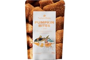 NatureHolic - Bites à la Citrouille et à la Cannelle - 30g