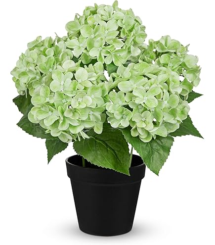 künstliche rosen in box Kleiner Prinz Rosen Garten Schattenbox - Echte Konservierte Blume 3D Kunst