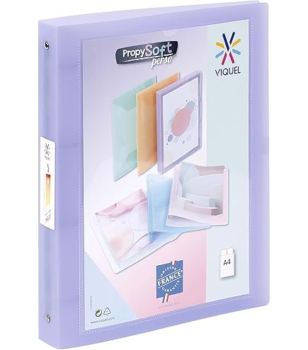 10 stuks 5 kleuren documentenmappen DIN A4 documentenmappen transparant mappen A4 waterdichte klittenbandsluiting, voor het organiseren van documenten (horizontaal
