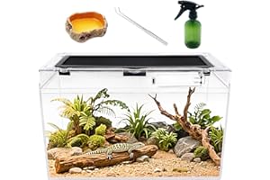 Reptile Growth Reptile Terrarium,16" x 8"x 10" vivarium with Top Sliding Door Screen Ventilation for Small Fish,Insect,Snail,Gecko,Tarantula,Bearded Dragon,Jumping Spider,Stick Insect,Praying Mantis.