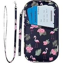BORSA DA VIAGGIO facile da nascondere organizzatori documenti di