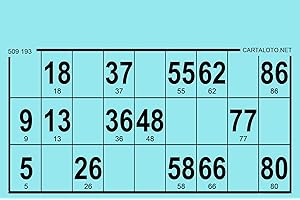 CARTALOTO-1000 Cartons de Loto Feuilles 80gr, Format Standard, Couleur : Bleu, GTPJ1000-02, Multicouleur