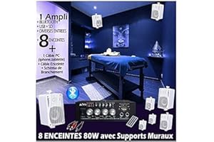 IBIZA SOUND - Pack Sono Magasin INSTITUE Restaurant Bar PUB Club Salon DE Coiffure 8 Enceintes 80W + 1 AMPLI Bluetooth PA DJ Mix Maison