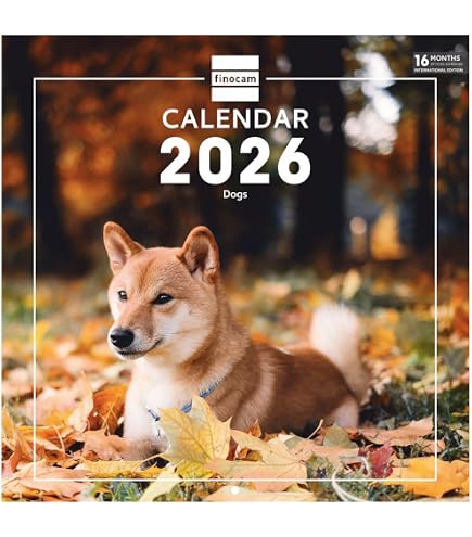 Calendario Da Parete 2026 Corgi – 20,9x29,9 Cm, Layout Mensile, 12 Illustrazioni Invernali, Per Amanti Dei Cani