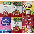 urdu zaban ki kitab 1 2 3 4 5 and qaida mukammal [Paperback] molvi mo ismail khan