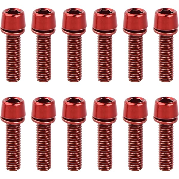 GRIRIW Fahrrad Bremsscheibenschrauben - 12 Stück Sternschrauben Set