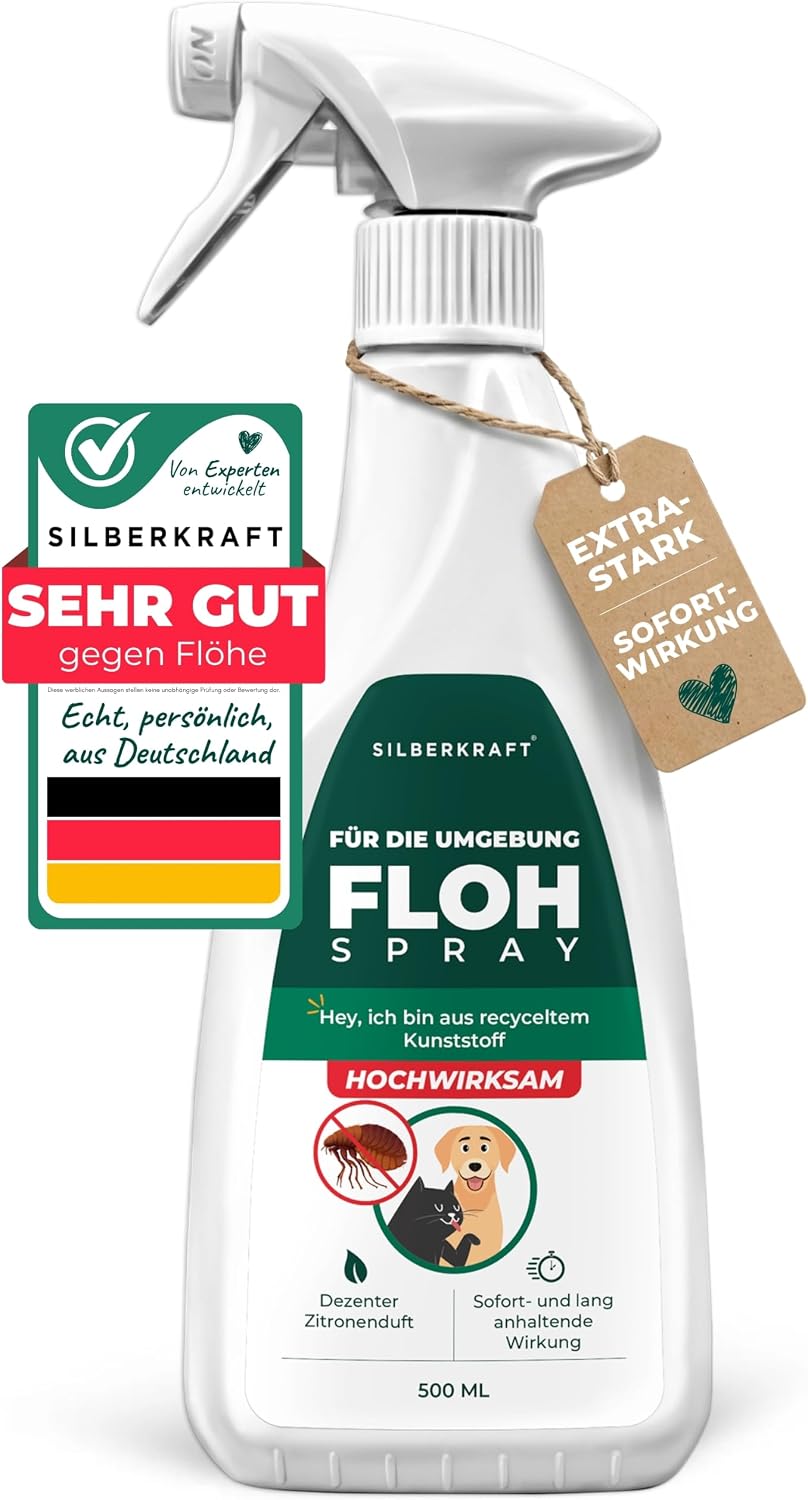 Vue 9