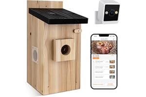 RAINBEAN Camera Nichoir, caméra pour nichoir extérieur de 4 Millions de Pixels, Observation en Temps réel de la Construction de nids et de l'éclosion des Oiseaux