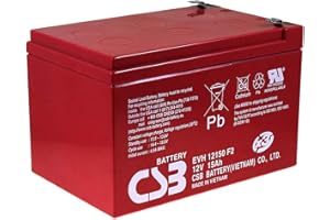 CSB Batterie au plomb EVH12150 12 V 15 Ah résistante à l'utilisation cyclique