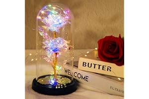 Wotplay Ewige Rose im Glas mit LED-Licht,Geschenk für Frauen Exquisit und Schön Ewige Rose als Romantisches Weihnachten, Valentinstag, Geburtstag, Jahrestag oder als Muttertagsgeschenk für Mama