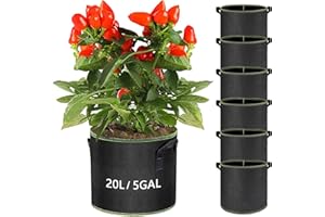 WAIZHIUA 6Pcs Plant Grow Bags 5 Gallon Breathable Nonwoven Fabric Plant Growing Bags Garden Pots Planter Bags Containers with Handles for Vegetables Flowers Herbs Potato Tomato Carrot Strawberry