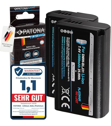 DSTE Ersatz-Akku & Ladegerät Set Für Panasonic LUMIX DC-S1 / S1R / S1H | 2x DMW-BLJ31 Akkus + Reise- & Auto-Ladegerät
