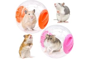 BAKIAULI 2 Pieces Hamster Ball, 12cm Small Animals Dwarf Hamster Ball Transparent Spinning Running Wheel Small Animals Cage Accessories (Red + Orange)