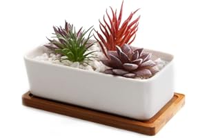 T4u Conjunto de 1 Ceramica Blanca Rectángulo Cerámicos Planta Maceta Suculento Cactus Planta Maceta Planta Contenedor Vivero Maceta Macetas de jardín Macetas Envase