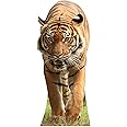 Star Cutouts Cut Out of Tiger