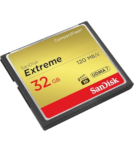 SanDisk M2 Adaptateur Memory Stick M2 vers Memory Stick Duo Pro Noir SanDisk M2 Adaptateur Memory Stick M2 vers Memory Stick Duo Pro Noir