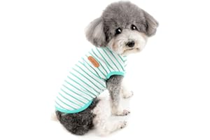 Zunea Maglietta Estate per Cani Piccola Taglia Vestiti a Righe Traspirante in Morbido Cotone per Animali Domestici Cuccioli Gatti Canotta Senza Maniche Chihuahua Tee Shirt Abbigliamento Verde L