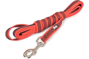 JULIUS K-9 216GM-R-S3 Laisse antidérapante Color & Gray avec poignée, 20 mm x 3 m, Rouge-Gris