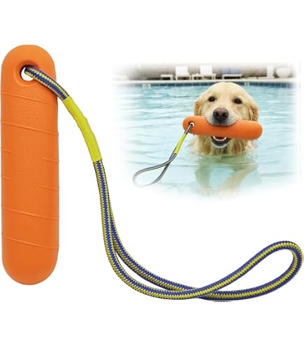 Rogz Leuchtturm Floating Hundespielzeug : Amazon.de: Haustier