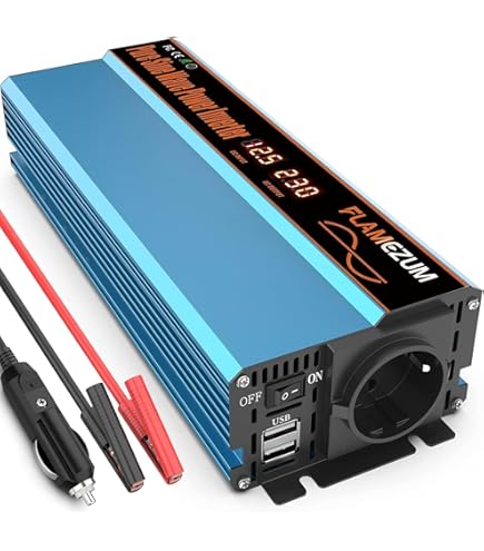 WERCHTAY Dubbele spanningsomvormer 24 V/12 V naar 230 V 1000 W/2000 W, zuivere sinus 2000 W/4000 W piekvermogen, met intelligent detectiesysteem, voor campers, caravans, huishoudelijke apparaten