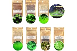HOGOOD 7 Pack Aquarium Plant Seed Set.Water Grass Plant Seeds Fish Tank Aquarium Landscape Decoration, Easy To Plant, Plant Seeds, Gardening, Home Decor for All Substrate