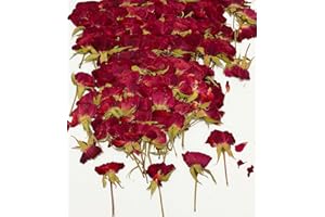 HANDI-KAFU 12 pcs Red Rose with Stem Real Natural Dried Pressed Flowers for Resin Art Craft DIY Making Card Home Party Décor