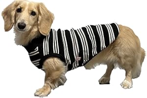 DOGGYSTAR D Doggy Star Dackel Kleidung für Hunde Mini und Erwachsene, T-Shirt (L, Elfenbeinfarben)