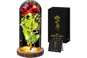 Seachrgif Ewige Rose,Rose im Glas mit licht,Infinity Rose,Romantische Geschenk für Freundin,Ehefrau,Junge Frauen,Schwiegermutter, Mama,Oma Schwester, Weihnachten Geschenke Ideen