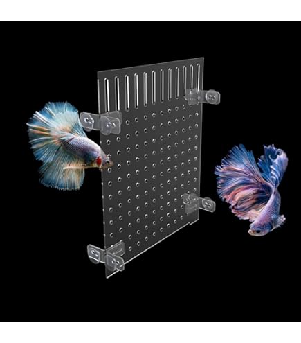 Scheidingswand voor aquaria 38 x 30 cm isolatiebord