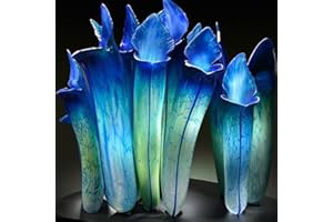 Haloppe Packung mit 100 Kannenpflanzen-Samen für die Bepflanzung des Hausgartens, Kannenpflanzen-Samen, die frisch produzierende fleischfressende Nepenthes-Samen für den Innenhof Blau