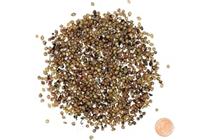 ‎SUPERWURM SUPERWURM 1000 Regenwurm Kokons (Dendrobena), Kompostwürmer, Gartenwürmer, Würmer, Riesenrotwürmer, Angelwürmer, Futterwürmer, Regenwürmer, Wurmzucht