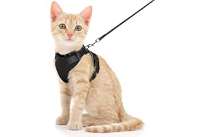 MDJEWV Katzengeschirr Mit Leine Verstellbares, Schwarz Katze Softgeschirr für Katze Brustgeschirr Cat Harness, Geschirr Cat Harness Katzengeschirr Mit Leine Ausbruchsicher (S, Schwarz)
